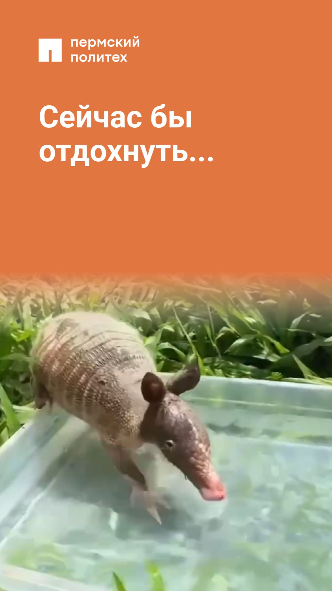 Сейчас бы отдохнуть...