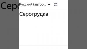 сорри что говняно, делала в лагере