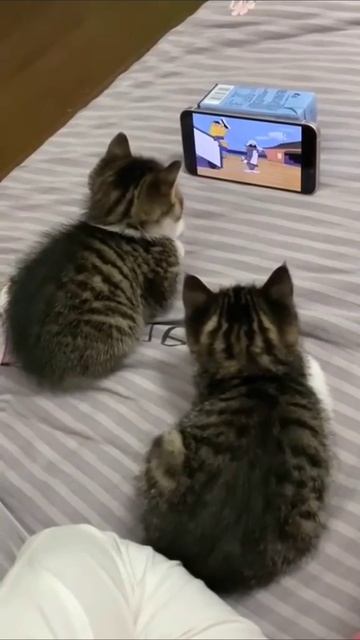 Вечерний отдых смотреть онлайн