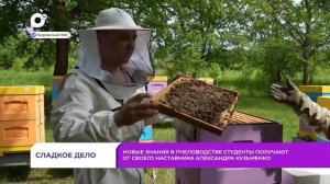 Без комментариев / Сладкое дело / 19.06.26