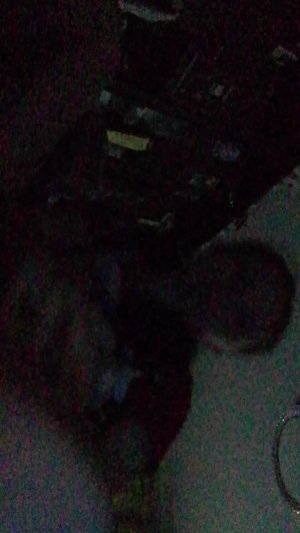 Влок среборном