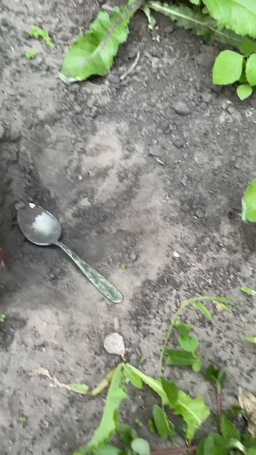 Копаем яму! День 9
