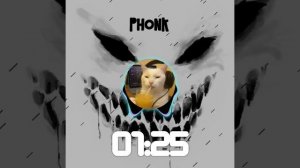FUNK-PHONK