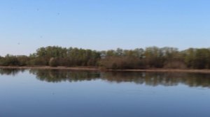 11. За бортом (2)