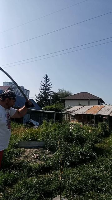 рубка лозы