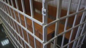 СВОБОДА ЗАКОНЧИЛАСЬ В СУДЕ