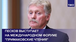 Песков выступает на международном форуме «Примаковские чтения»