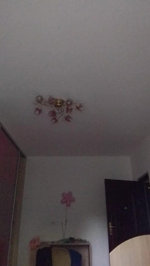 зойка
