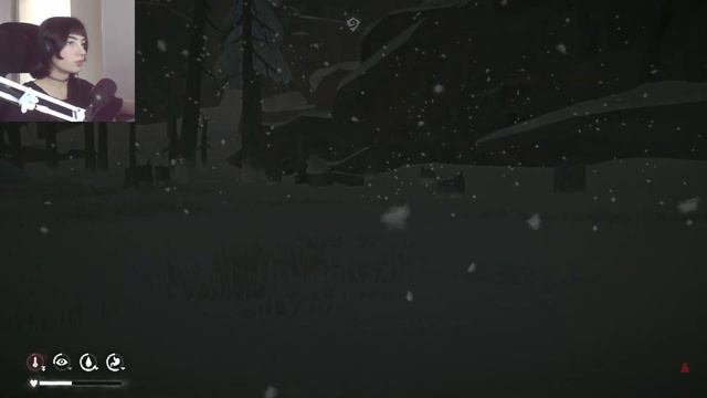 НЕОТСТУПНЫЕ ПУСТОШИ - The Long Dark 49