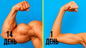 Увеличь руки за 4 недели | Домашняя тренировка бицепса с гантелями
