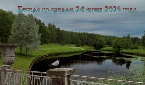 Беседа по средам 24 июня 2026 года