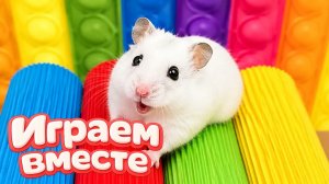 ХОМЯК ВЫБИРАЕТСЯ ИЗ СЕКРЕТНОЙ ХОМЯЧЕЙ ТЮРЬМЫ ! Забавные животные ! Супер лабиринт для хомяка №30