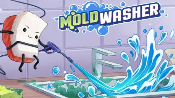 Moldwasher ➤ Review (GR)