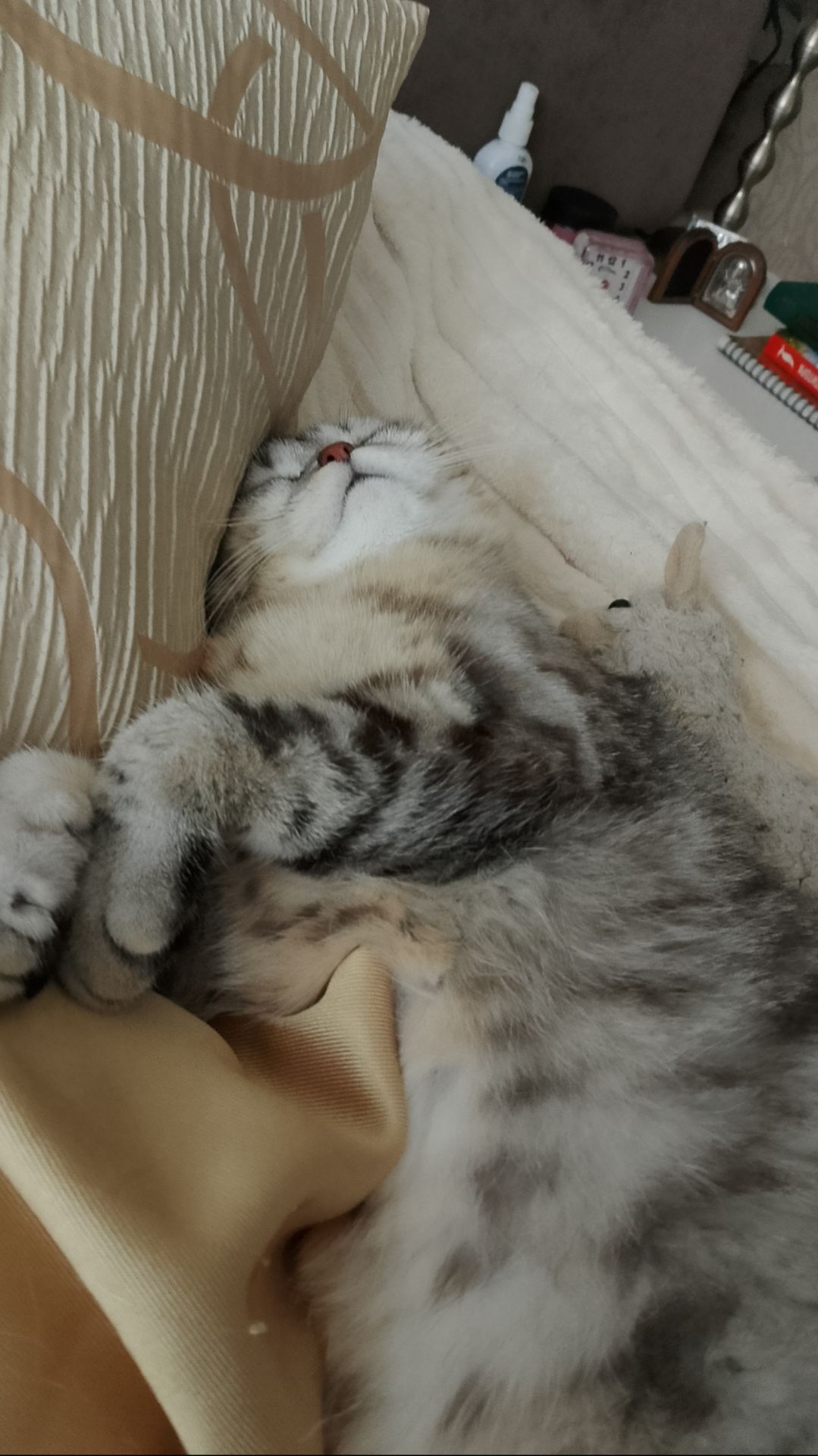 Тихий час Биатрисины и Франчески😻