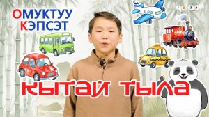 Кытай тыла 20