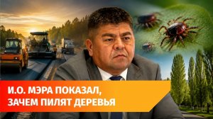 Вырубка деревьев, клещи и стоимость дорог - что волнует и.о. мэра Уфы?