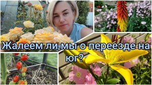 Жалеем ли мы о переезде на юг?☀ Кубань  другое государство 🌻