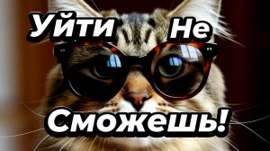 Смешные животные 2026-Коты и собаки  до слёз🐕😂