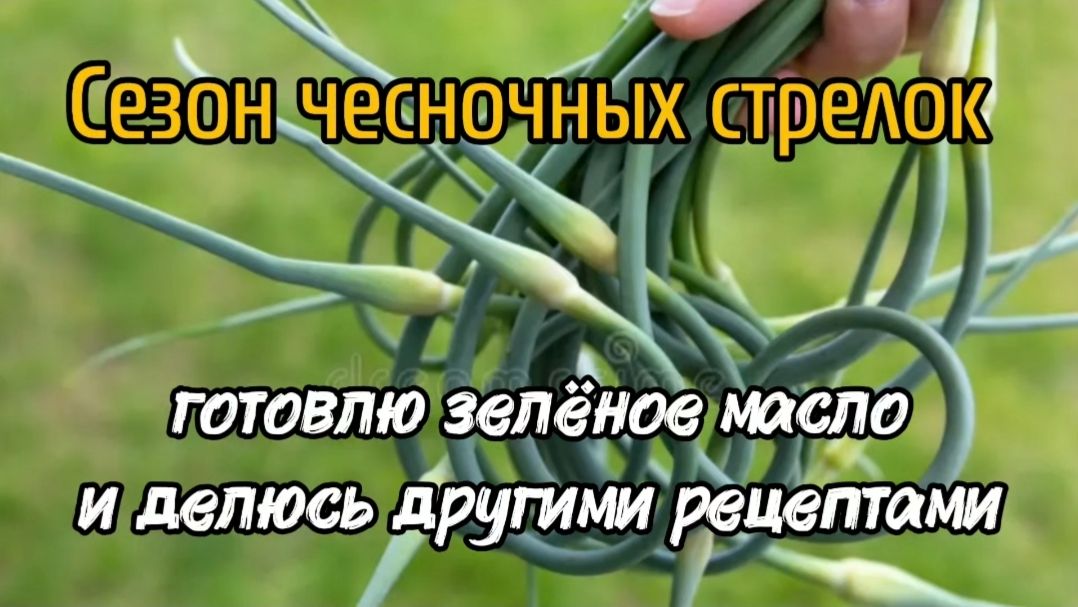 Сезон чесночных стрелок. Готовлю зелёное масло и делюсь другими рецептами.