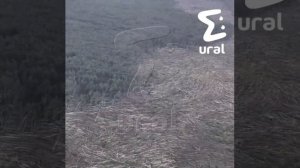 Дорога смерча 22062026 в уральской тайге