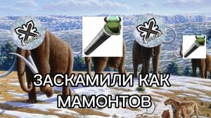 НАС ЗАТРОЛИЛИ...