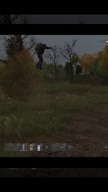 ЧТО ТАКОЕ СТРАХ? #DTDAYZRP #DTRP #gaming #stalker #dayz #дейз #survival #сталкер #scared #anomaly
