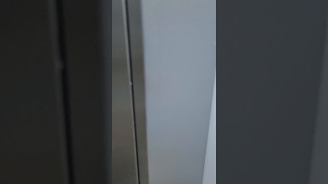 1000246439.mp4 смотреть онлайн