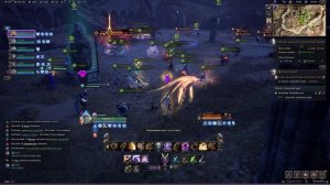 Throne and Liberty PVP Zima vs NomaD