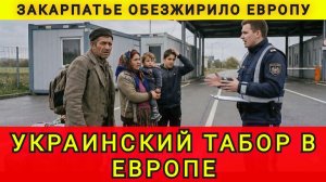 Украинский табор в Европе. Австрия выгоняет западенцев. Закарпатье обезжирило Европу. Аня Колобок