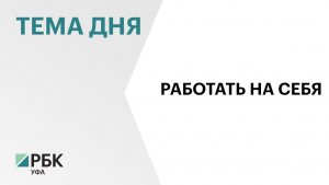 В Башкортостане стало больше самозанятых - с начала года их число выросло на 9%, за год - на 26%