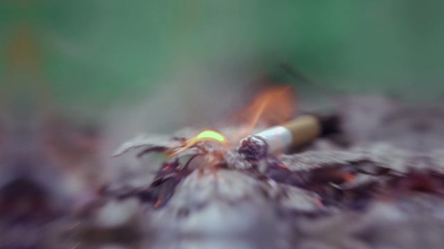 Не выбрасывай окурки с балкона