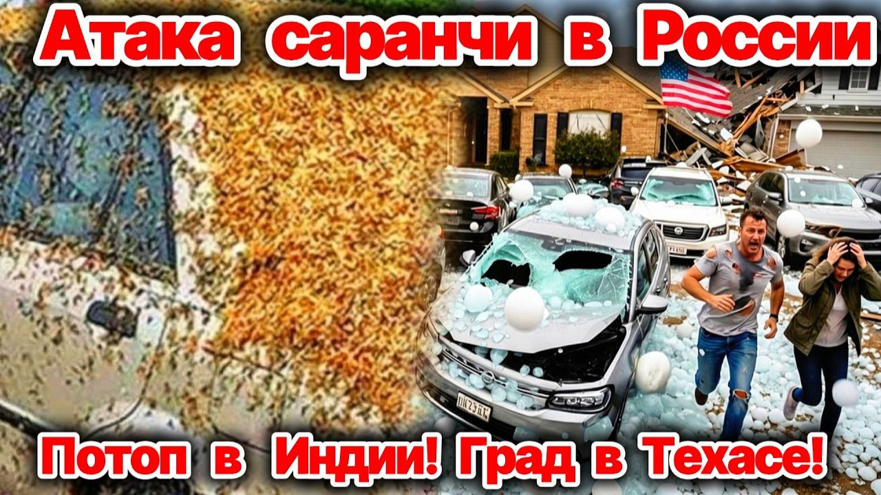 Саранча захватила юг России❗ Нашествие саранчи в Ростовской области❗ Потоп в Индии! Град в Техасе❗ смотреть онлайн