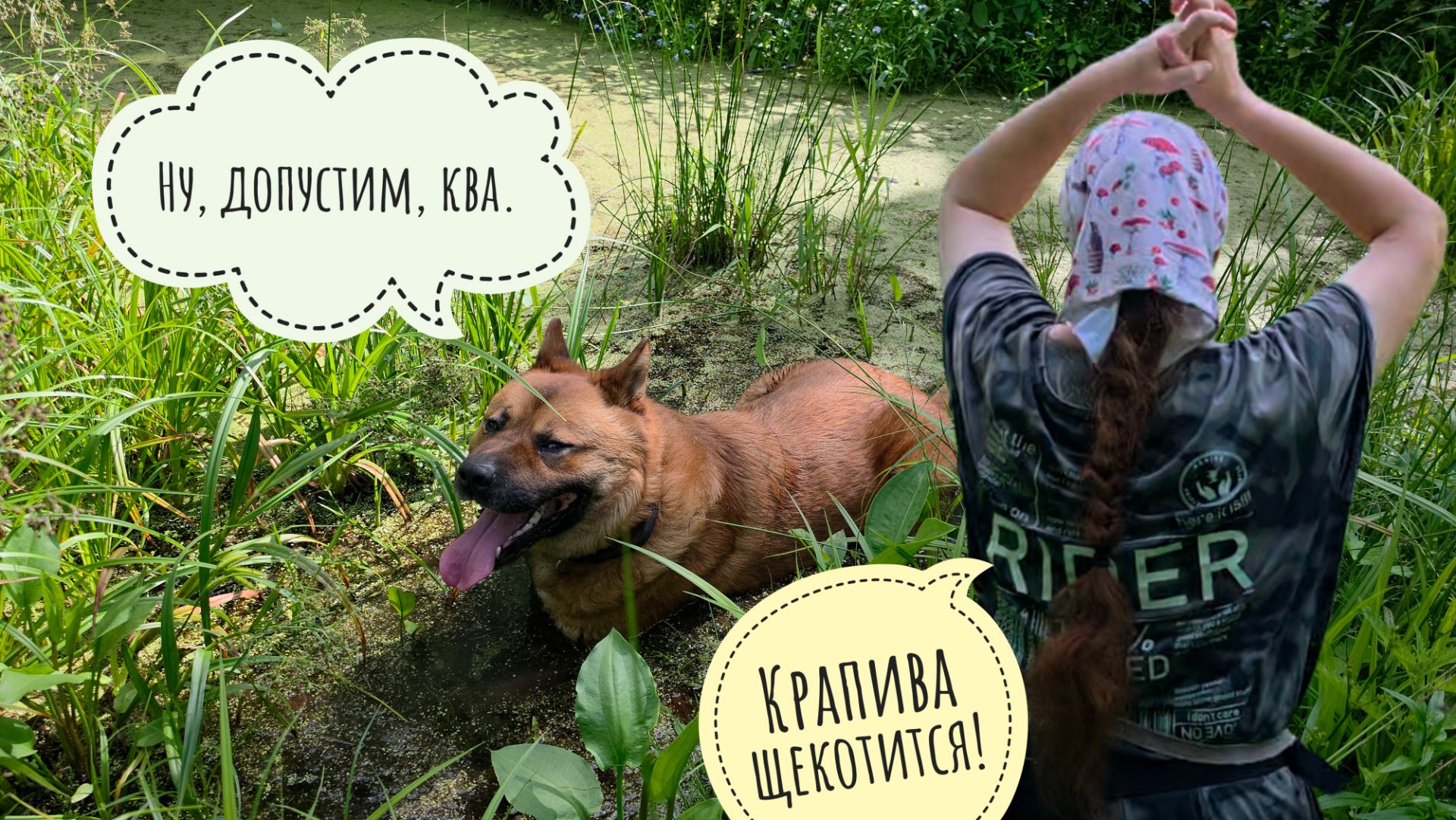 Идём на летние Боброкурвенные болота с Псом Кубиком и Машей. Почему я не хожу в дальние дали летом? смотреть онлайн