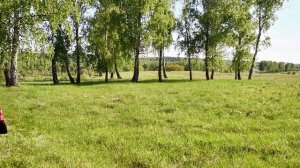 Музыкальный клип «Каравай»