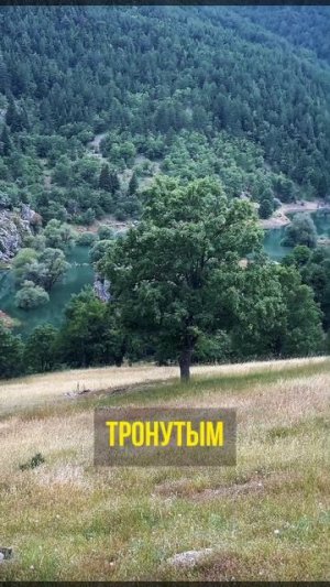 Истинная красота 😍