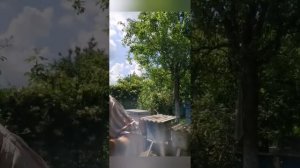 МИР ВИДЕО ДЛЯ ГЛУХИХ 24 ИЮНЯ 1ЧАСТЬ