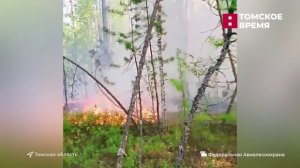 Природные пожары бушуют на севере Томской области