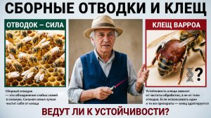 Сборные отводки: провоцируют ли они устойчивость клеща? Отвечает профессор Кашковский 🐝🔬