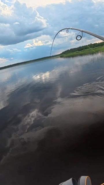 ЩУКА НА ЯЙЦО смотреть онлайн