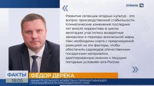 В Краснодарском крае ожидают рост урожая ягодных культур на 10-20%