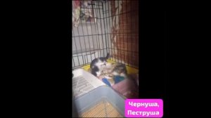 Хотел поставить ты 🚀 Подумал«А зачем мне это?Какой- то странненький канал» Подумал мысль.И не нажал