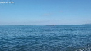 Пляжные хроники. 24.06.26 года,7.00 утра. Адлер, пляж ЖД вокзала