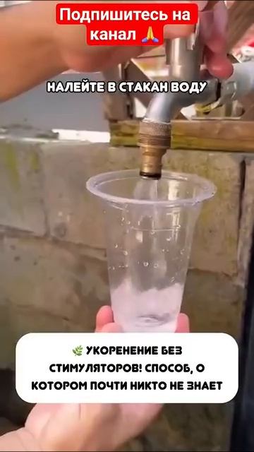УДачные решения.