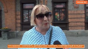 Вопрос дня: почему деревья важнее бетона