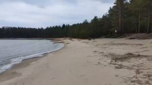 Песчаные пляжи острова Кайонсаари в Карелии