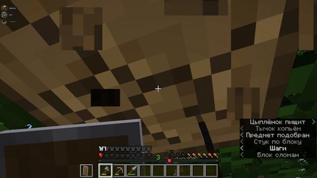 Minecraft (1)