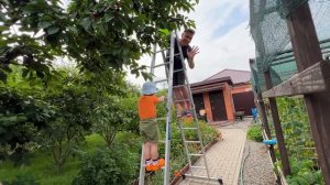 На Даче у Бабушки и Дедушки