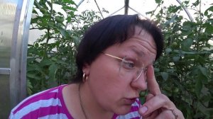 Борьба и профилактика вершинной гнили