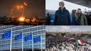 Названа область Подмосковья с наибольшей вероятностью встречи с медведем