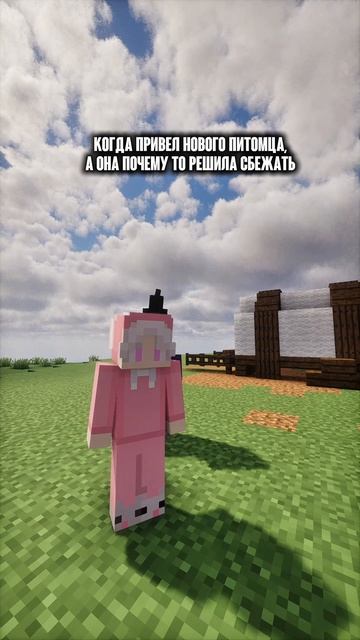 НУ И КУДА ОНА ПОБЕЖАЛА😄🎮 #видеоигры #майнкрафт #minecraf